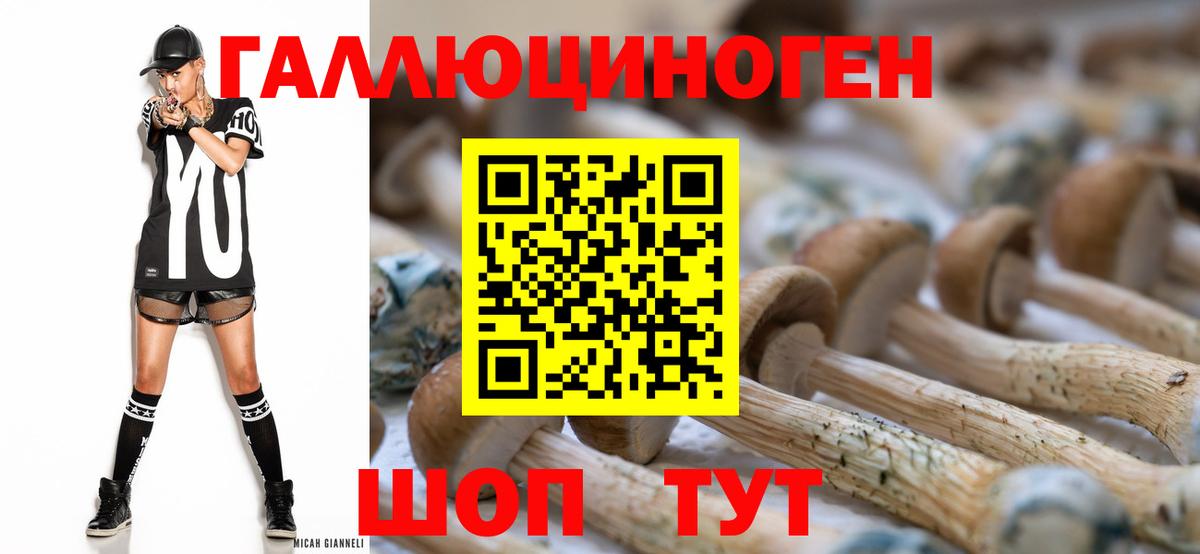 Галлюциногенные грибы Cubensis  Вход с VPN  Кондопога 